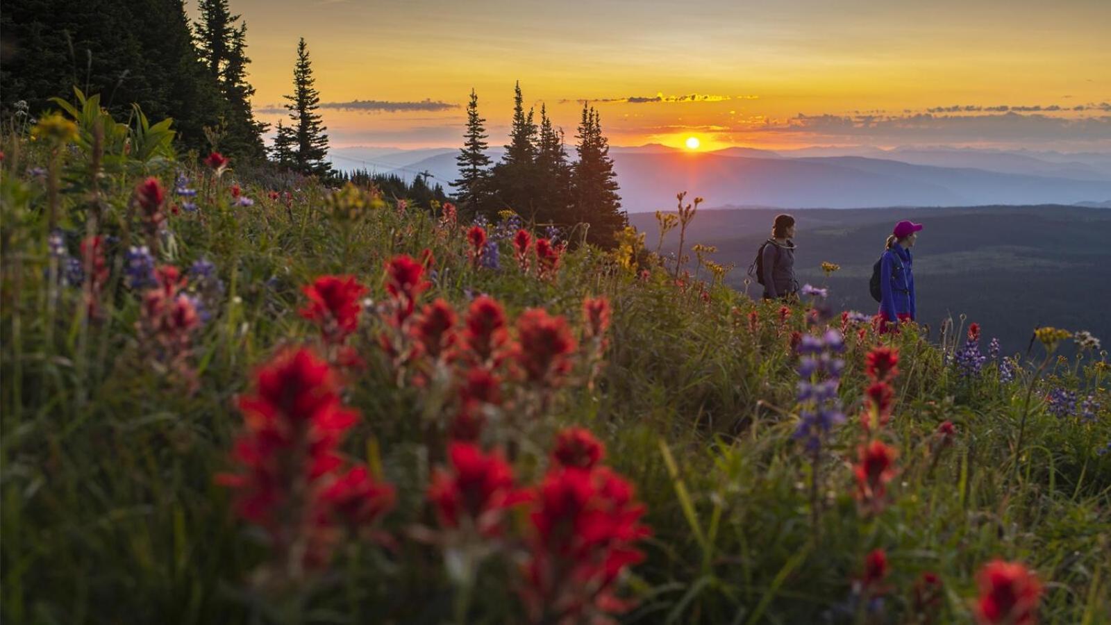 Holiday Home Sun Peaks Luaran gambar